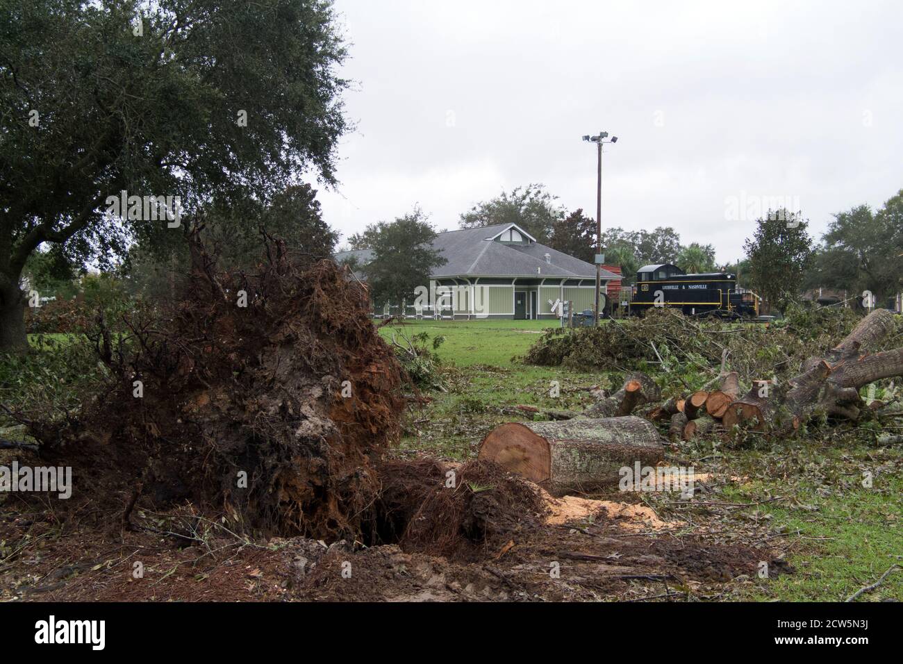 Trees uprooted by Hurricane Sally at Centennial Park in downtown Foley