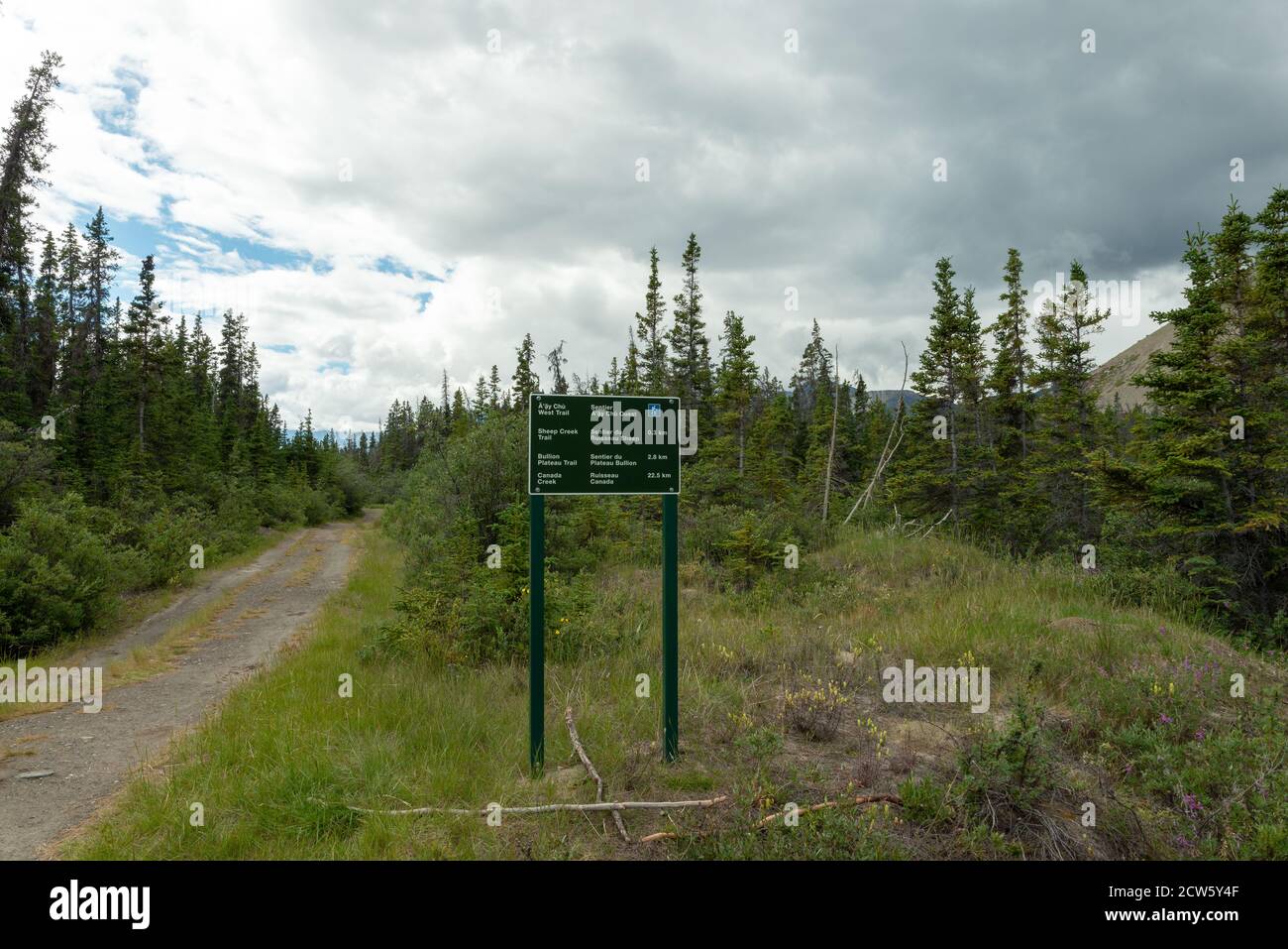 A sign to the Sheep Creek Trail in Kluane National Park, Yukon, Canada