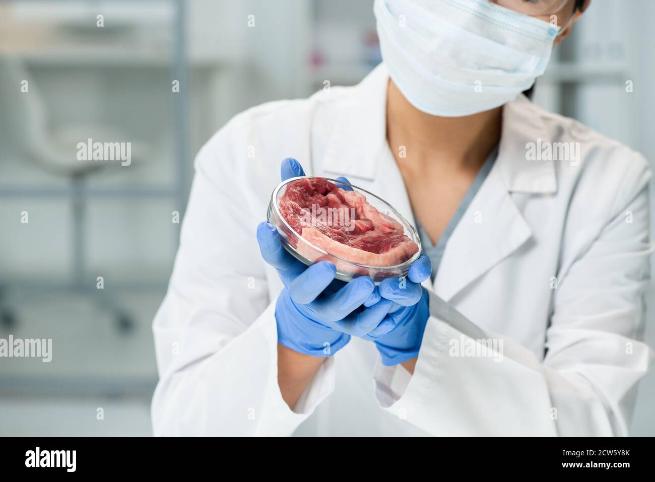 Gloved hands of young female scientific researcher piece of raw vegetable meat Stock Photo