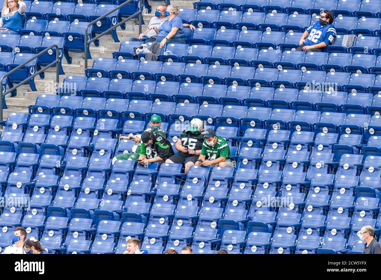 Photo: A New York Jets fan watches the game dressed in costume -  NYP20181021112 