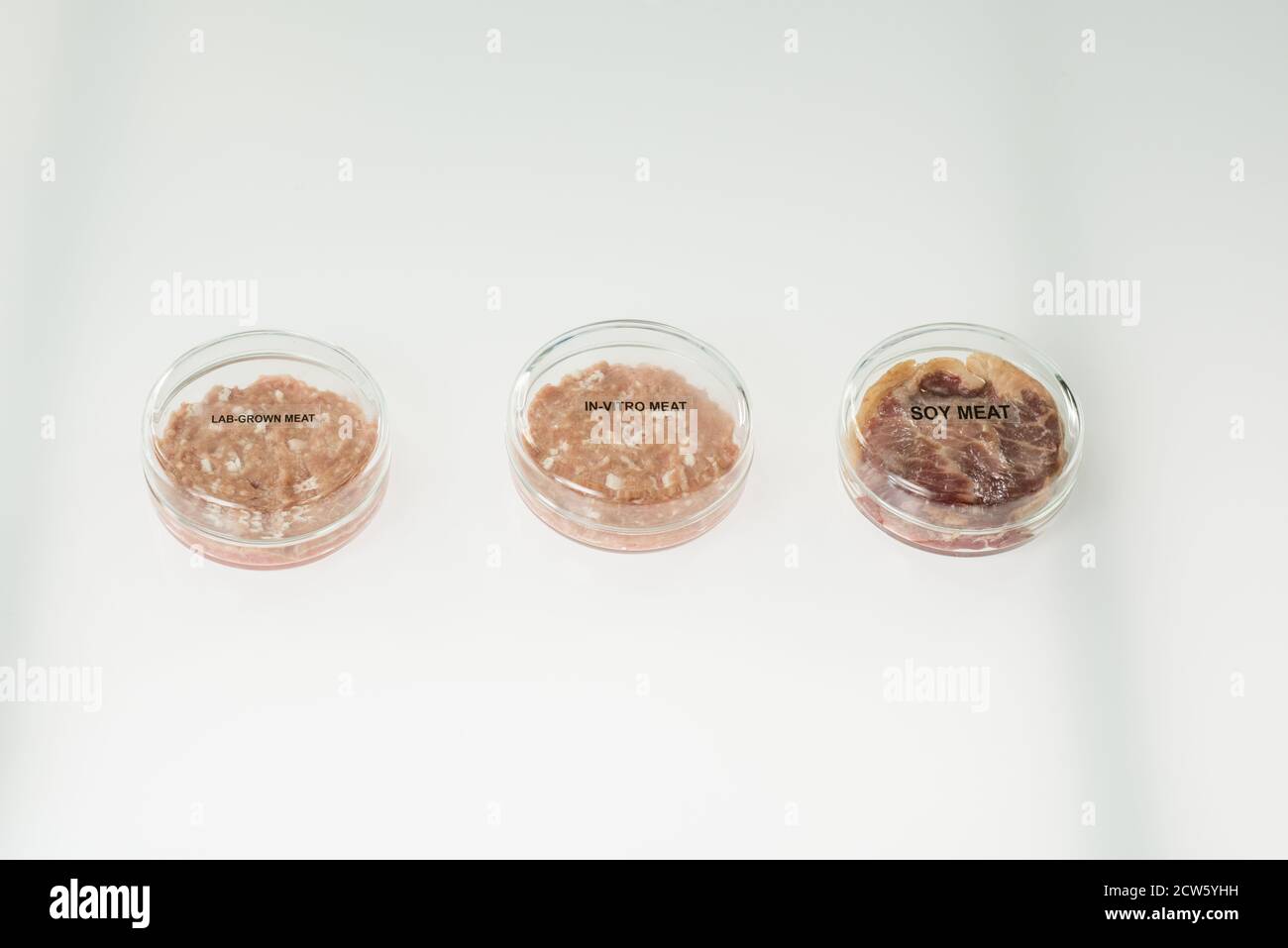 Petri dishes with pieces of raw in-vitro meat, soy sample and lab-grown one Stock Photo