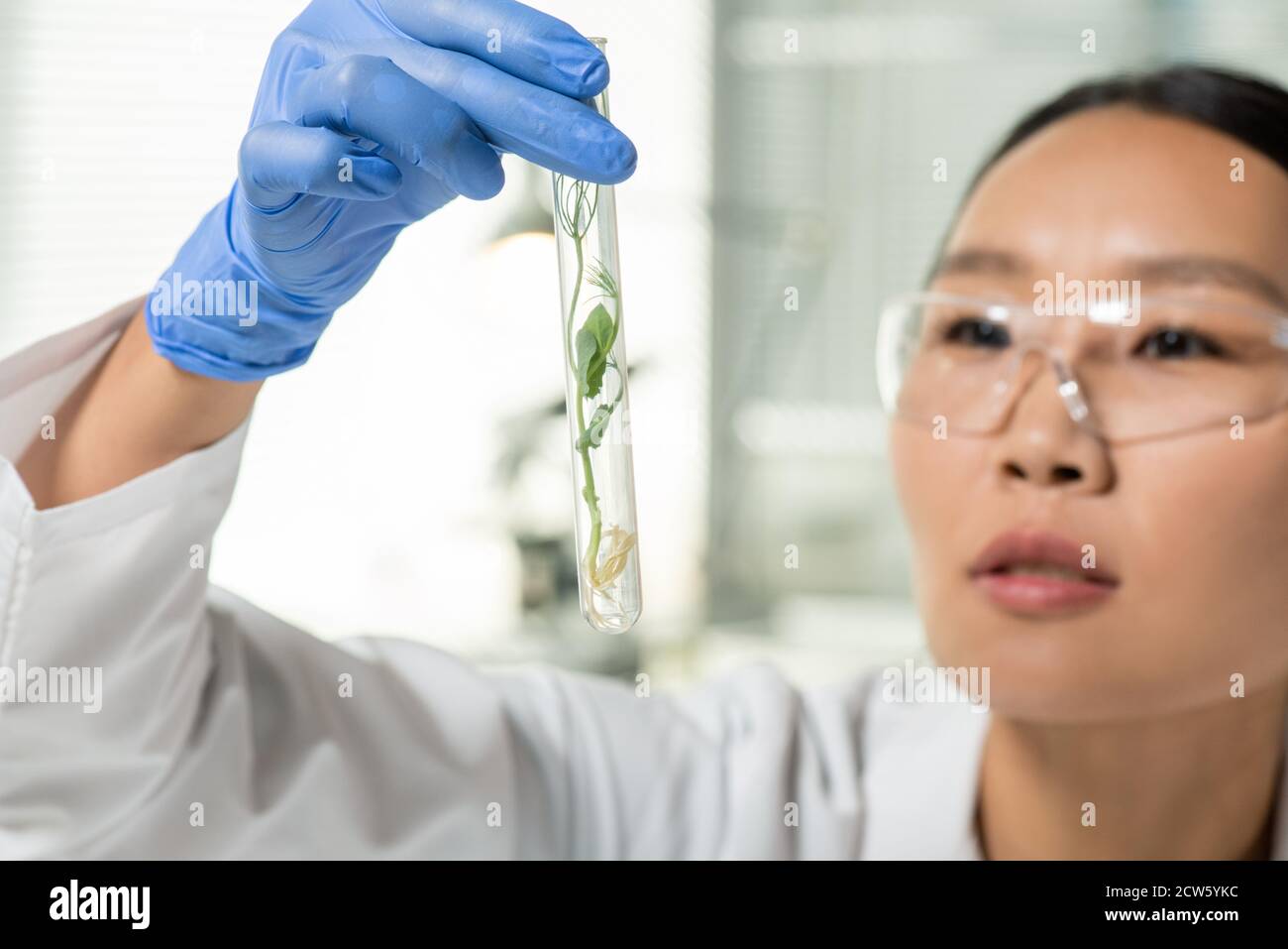 Hand of laboratory worker looking at flask containing green lab-grown ...