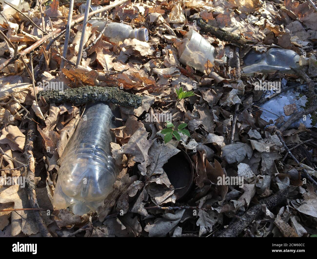 Plastic bottle in green grass on grass Stock Photo