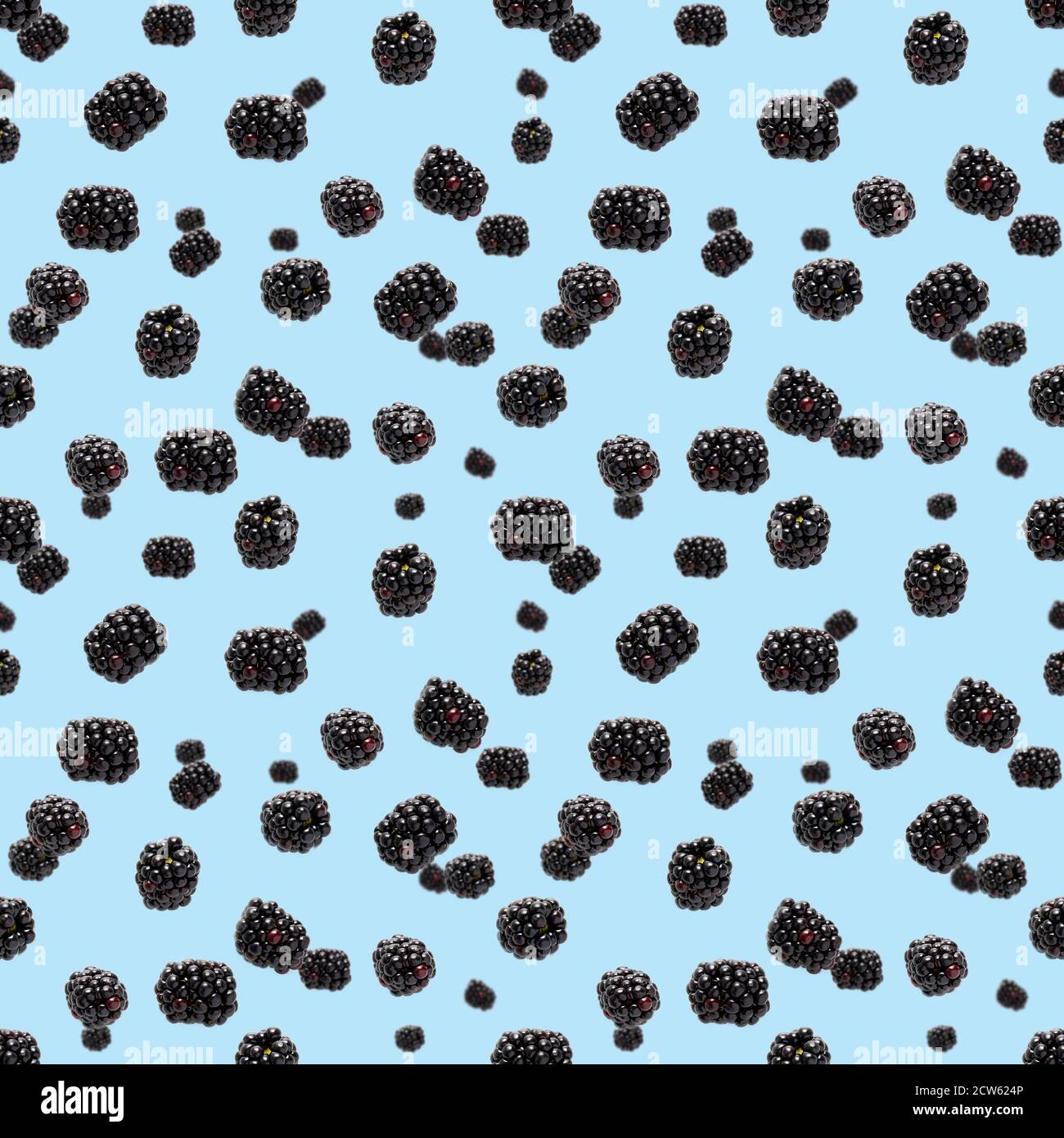 Falling Bramble Seamless pattern. Fresh Falling blackberry seamless pattern. Pattern with fresh wild berries isolated on blue background. Stock Photo