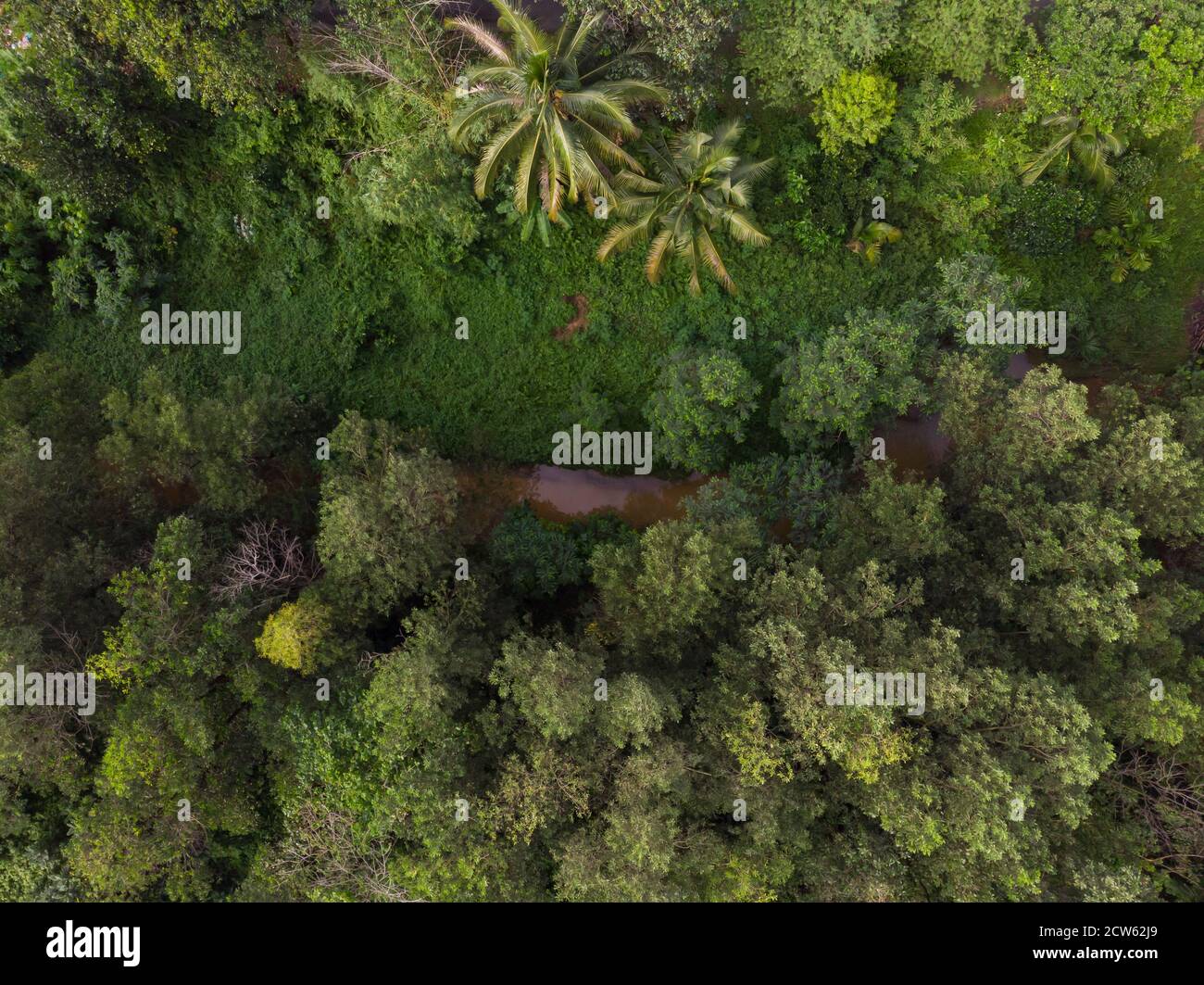 Curvy roads aerial shot hi-res stock photography and images - Alamy