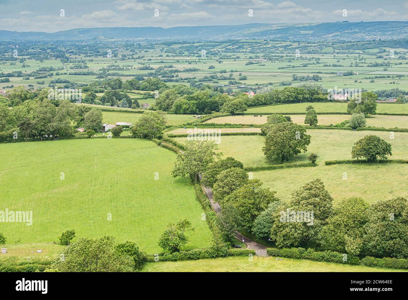 View from the top of Glastonbury Tor, overlooking enclosed farmland and cow pastures. Rural Glastonbury, cows and rough country roads. Stock Photo