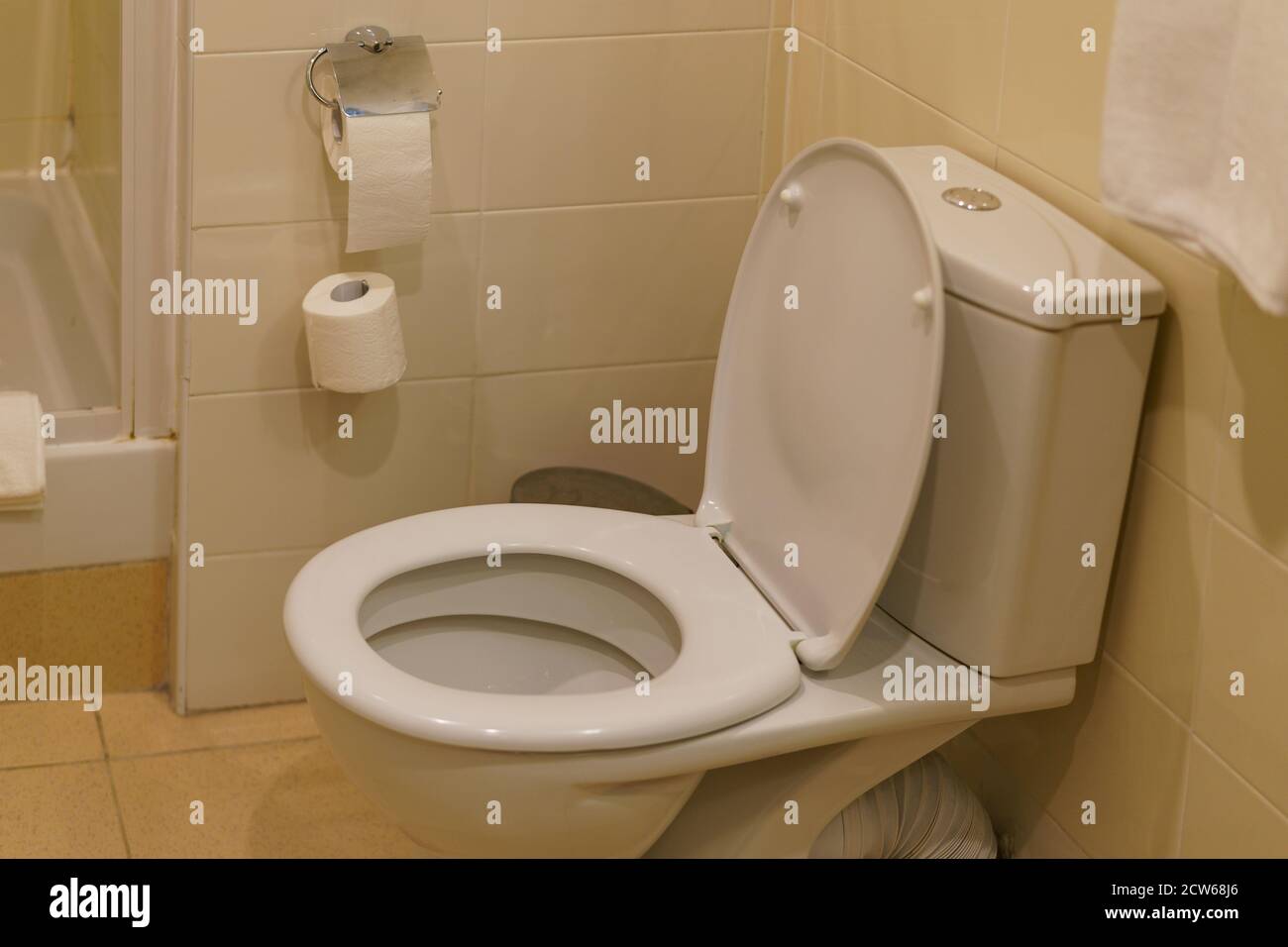 Modern bathroom in the hotel. White toilet bowl. A roll of white clean toilet paper hangs in front of a beautifully tiled wall. Shower cubicle. Soft b Stock Photo