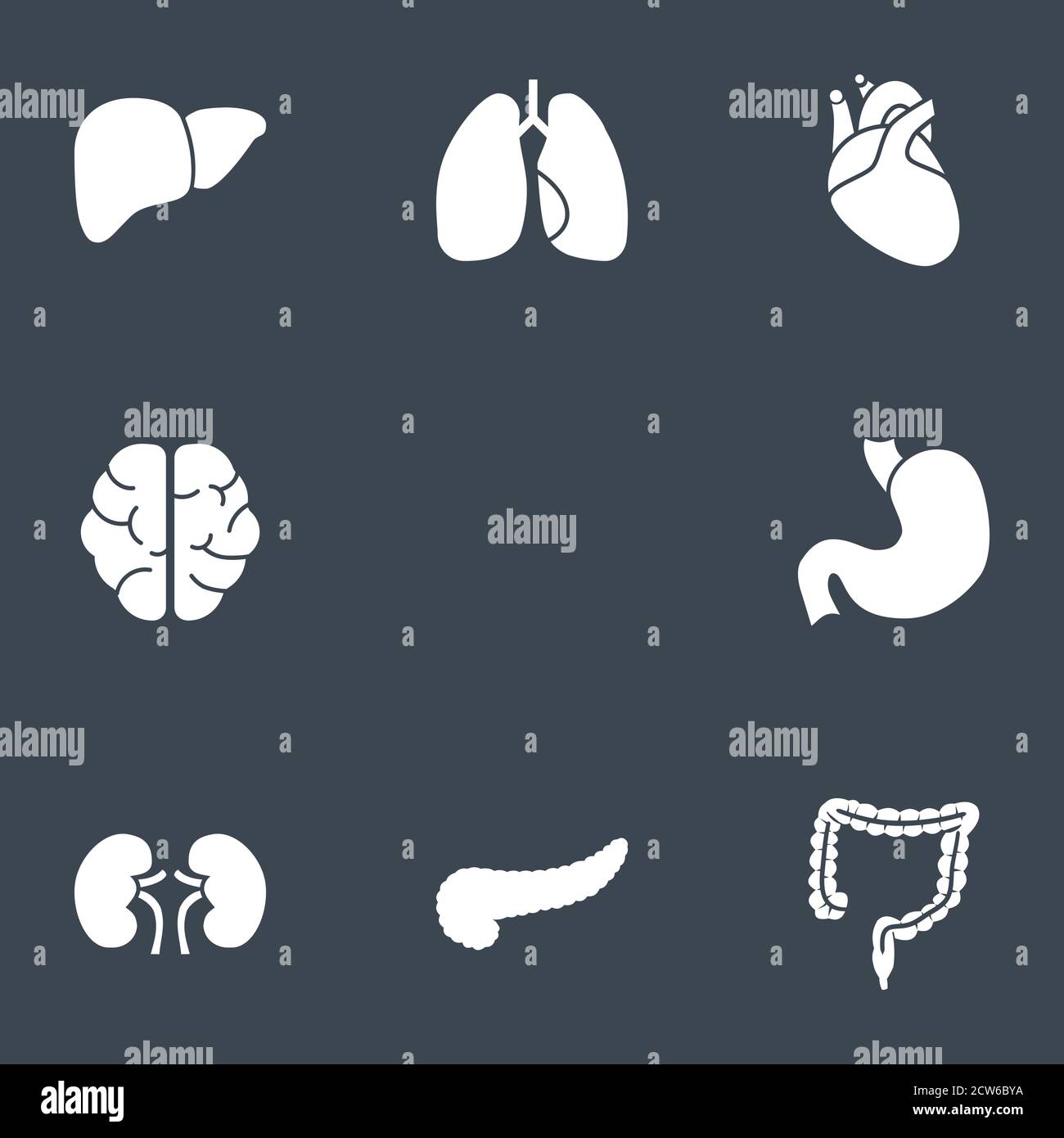 Human internal organs gastrointestinal Stock Vector Images - Alamy