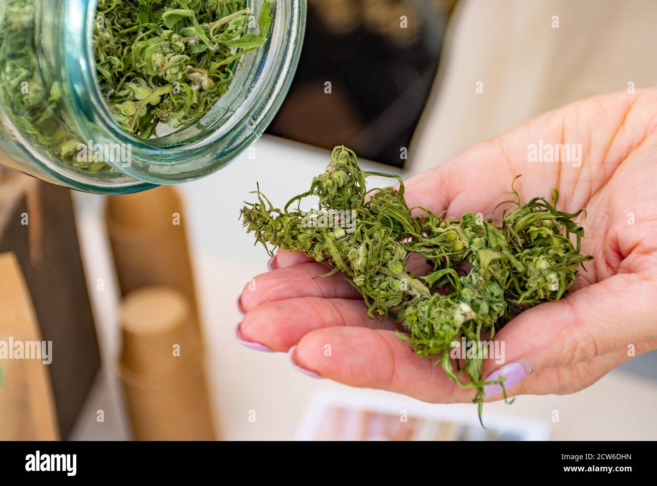 Download Dry Marijuana Buds High Resolution Stock Photography And Images Alamy