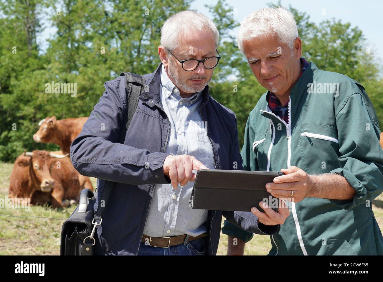 Farmer meeting with financial counseller in farm Stock Photo