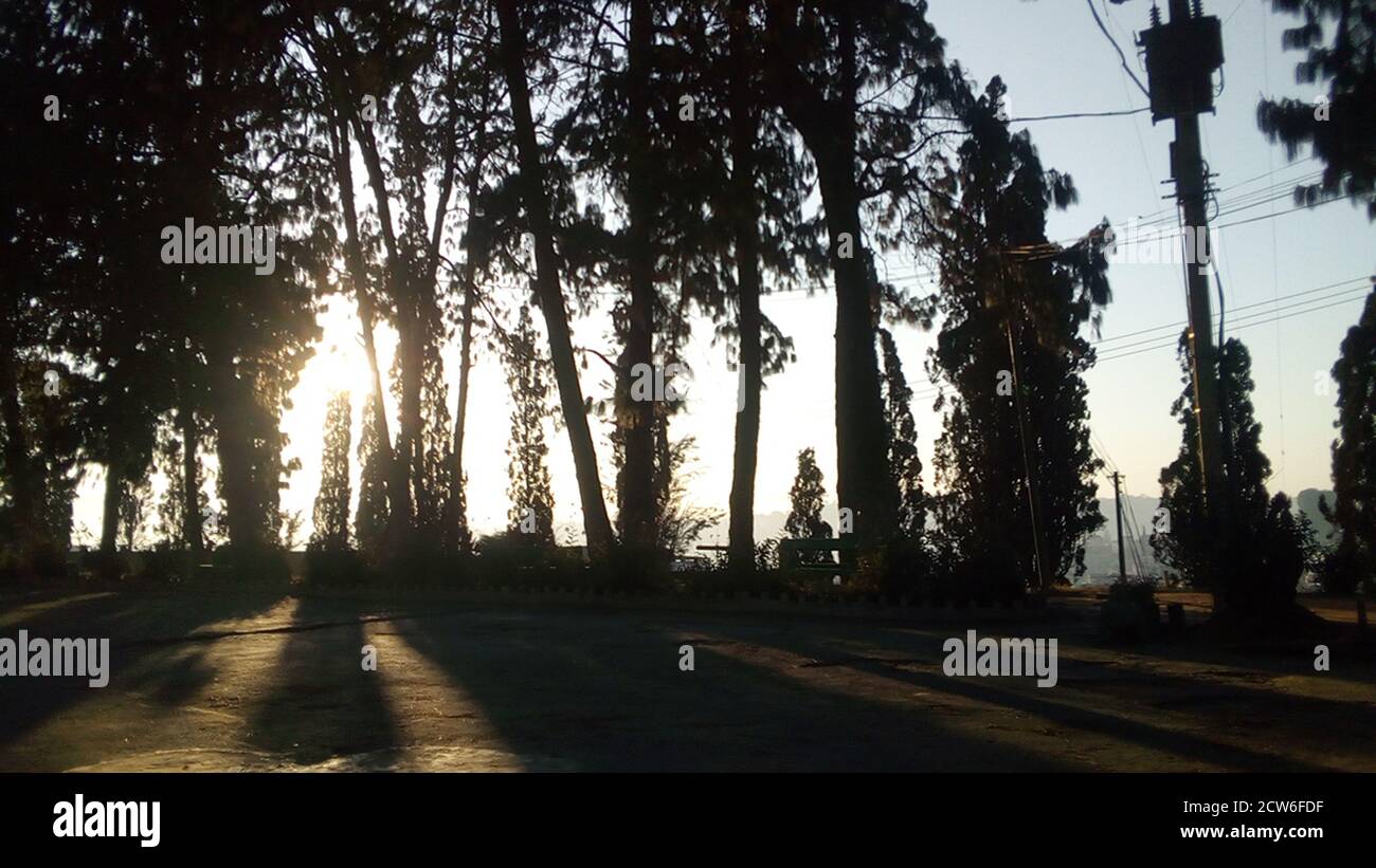 Lovely cat taking a seat Stock Photo Alamy