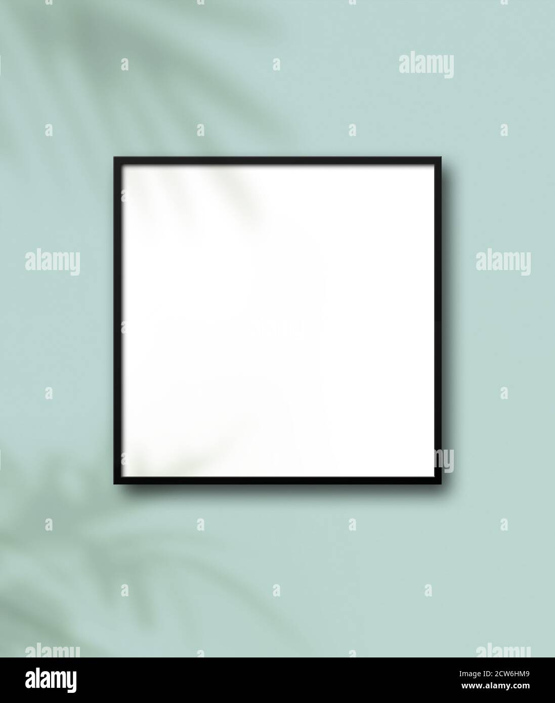 Black square picture frame hanging on a light blue wall. Floral shadows ...