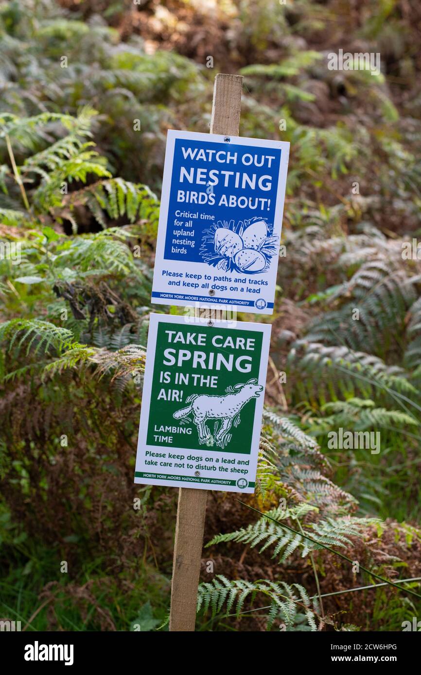 signs next to footpath in the North York Moors National Park asking people to take care in spring because of upland nesting birds and lambs - England Stock Photo