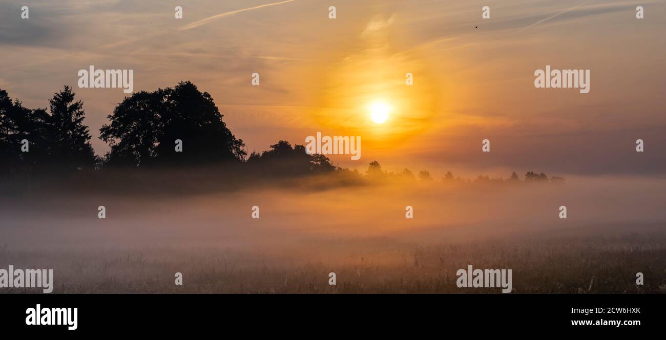 wonderful, misty sunrise over a meadow in the Swidwie reserve in Poland Stock Photo