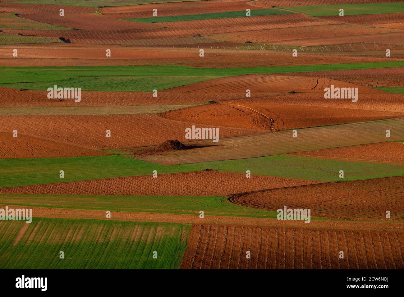 campos de labor, Consuegra, provincia de Toledo, Castilla-La Mancha, Spain Stock Photo