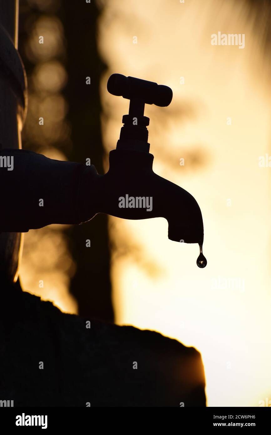 vertical / portrait-oriented, Silhouette of old vintage metal tap leaking water droplet. Alone in outdoor natural environment during golden hour Stock Photo