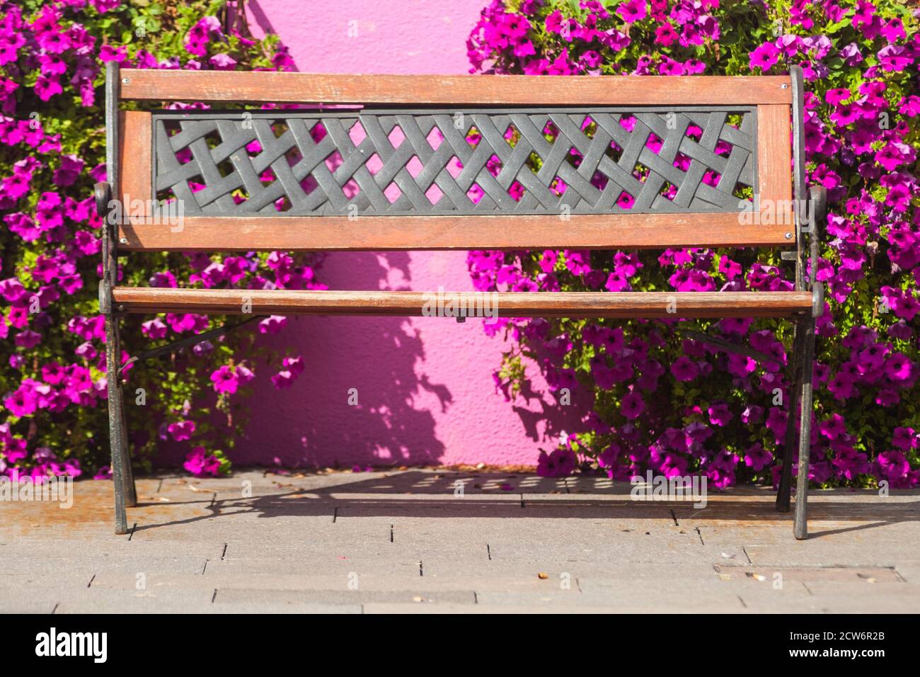 A beautiful bench with violet flowers behind it and a pink wall. Stock Photo