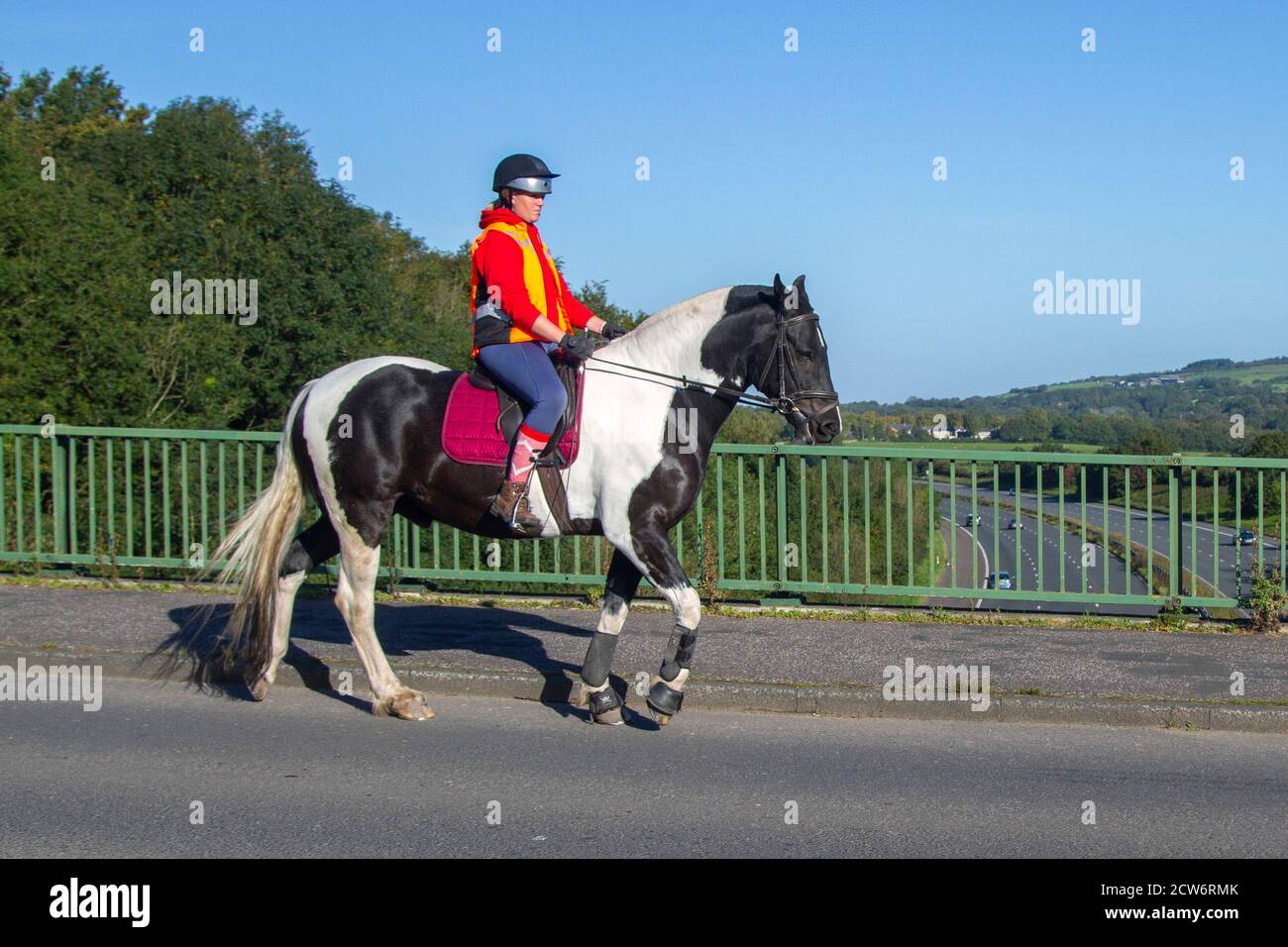 Riding Horse On Road Uk High Resolution Stock Photography and Images