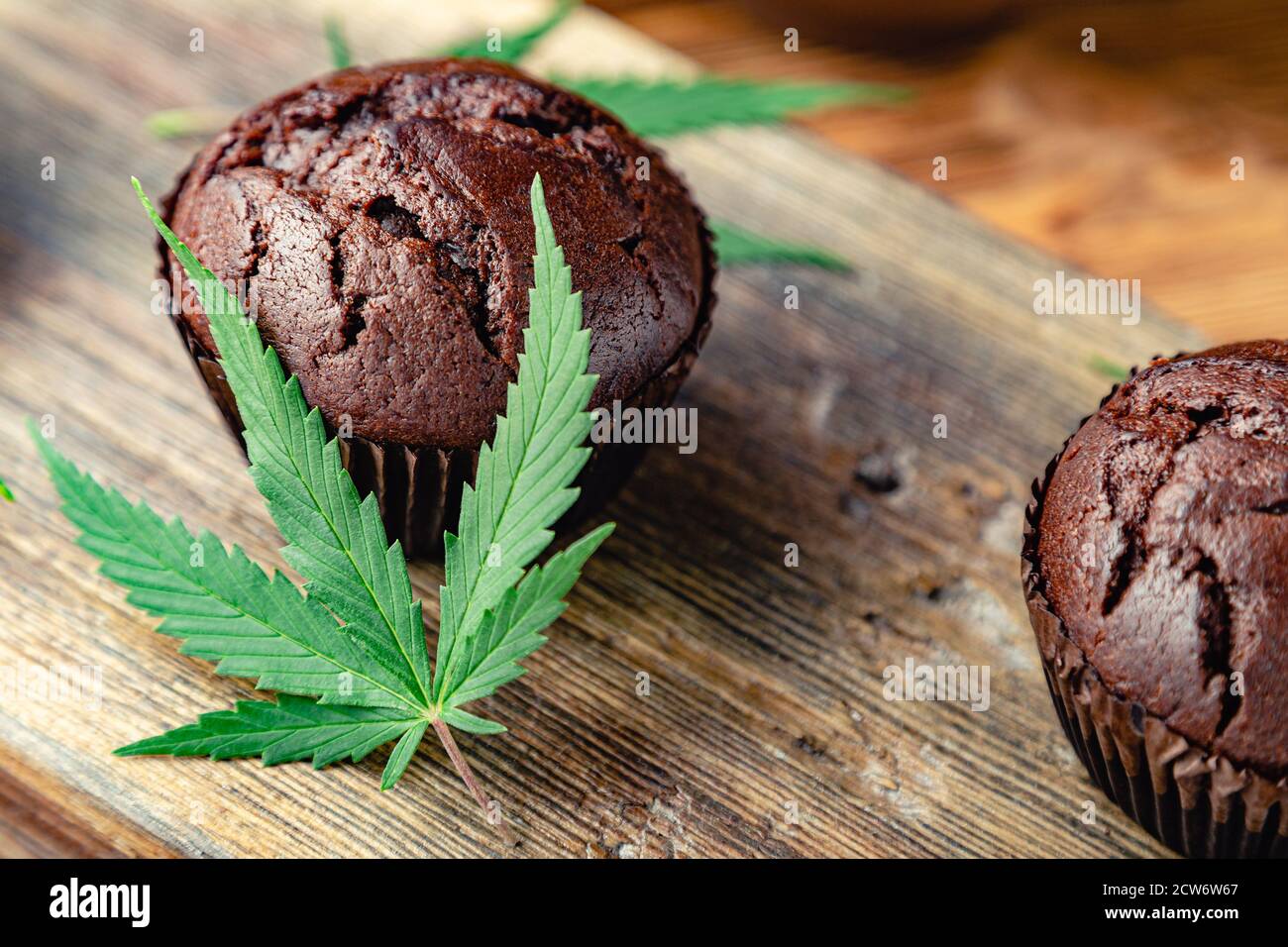 Medical marijuana hemp drugs in food dessert, ganja legalization. Cooking baking chocolate weed muffins. Cupcake with marijuana. Chocolate cupcake Stock Photo
