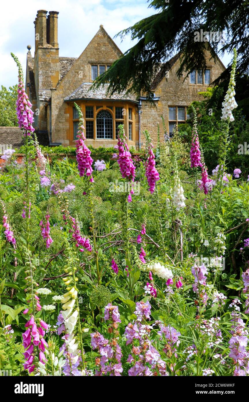 thimbles in Hidcote Manor garden England Stock Photo
