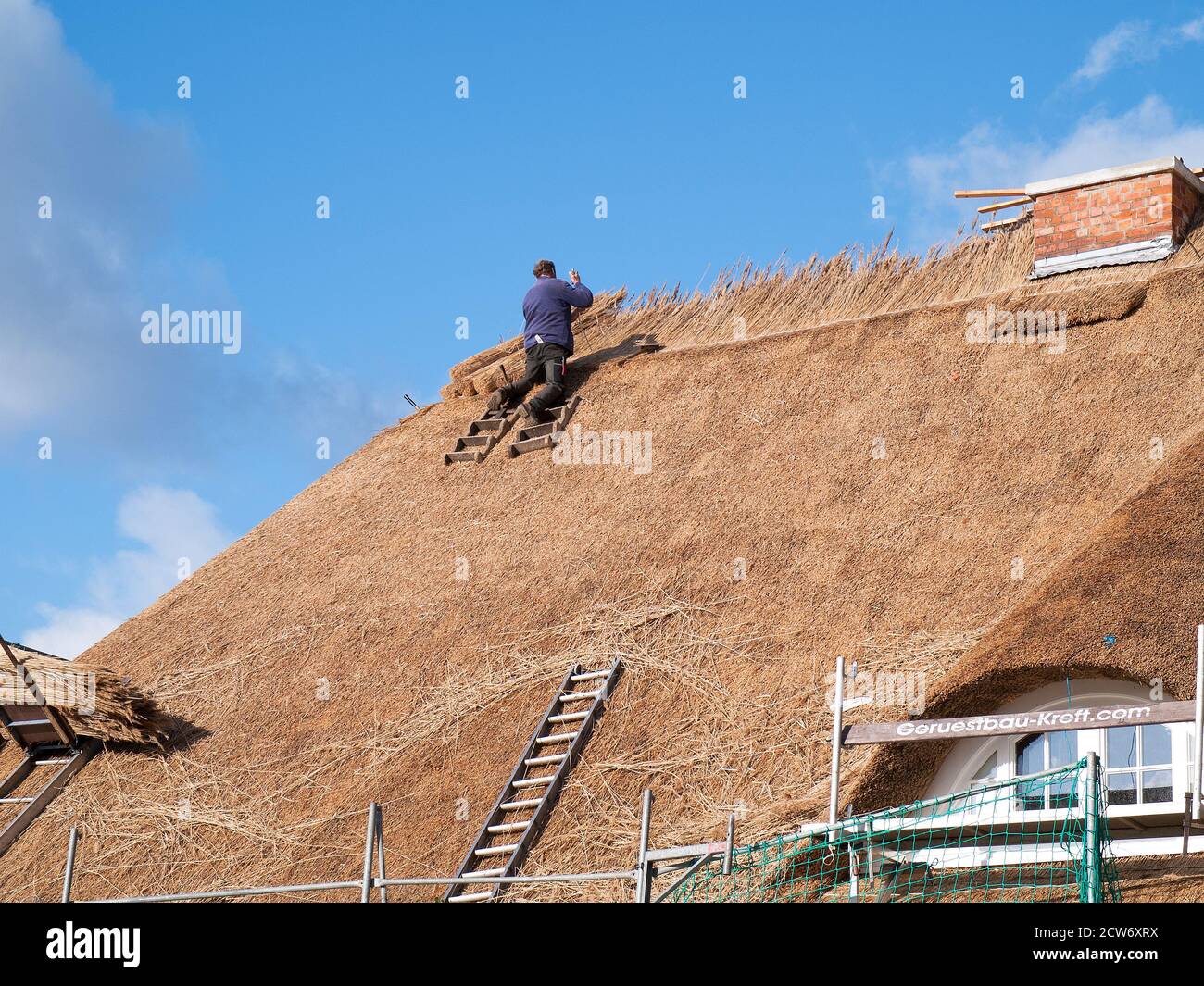 Thatchers at work restoring the thatched roof of an old farmhousein Bütlingen, Niedersachsen, Germany. Stock Photo