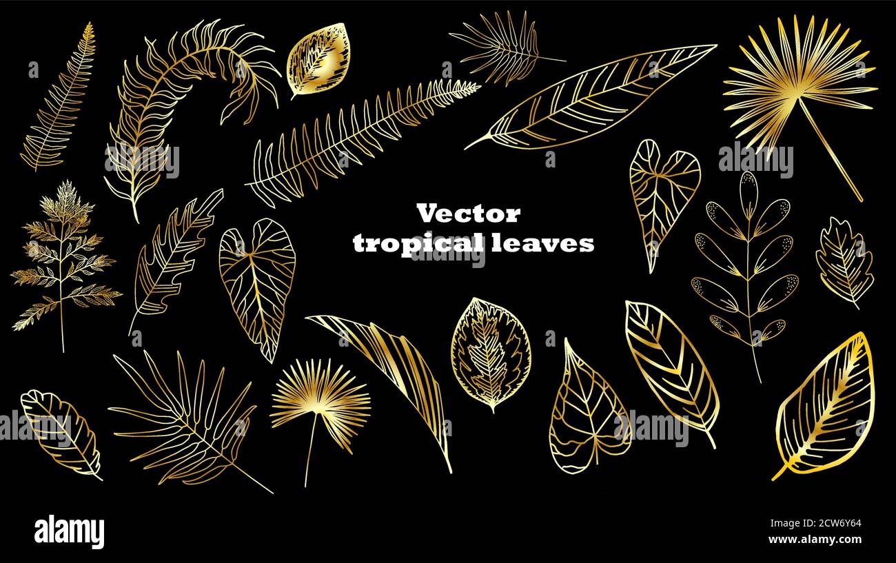Set of tropical golden leaves. Palm leaves isolated Stock Vector Image ...