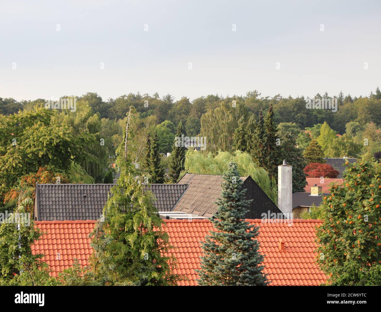 Rooftops in small rural city surrounded by trees in a green forest. Stock Photo