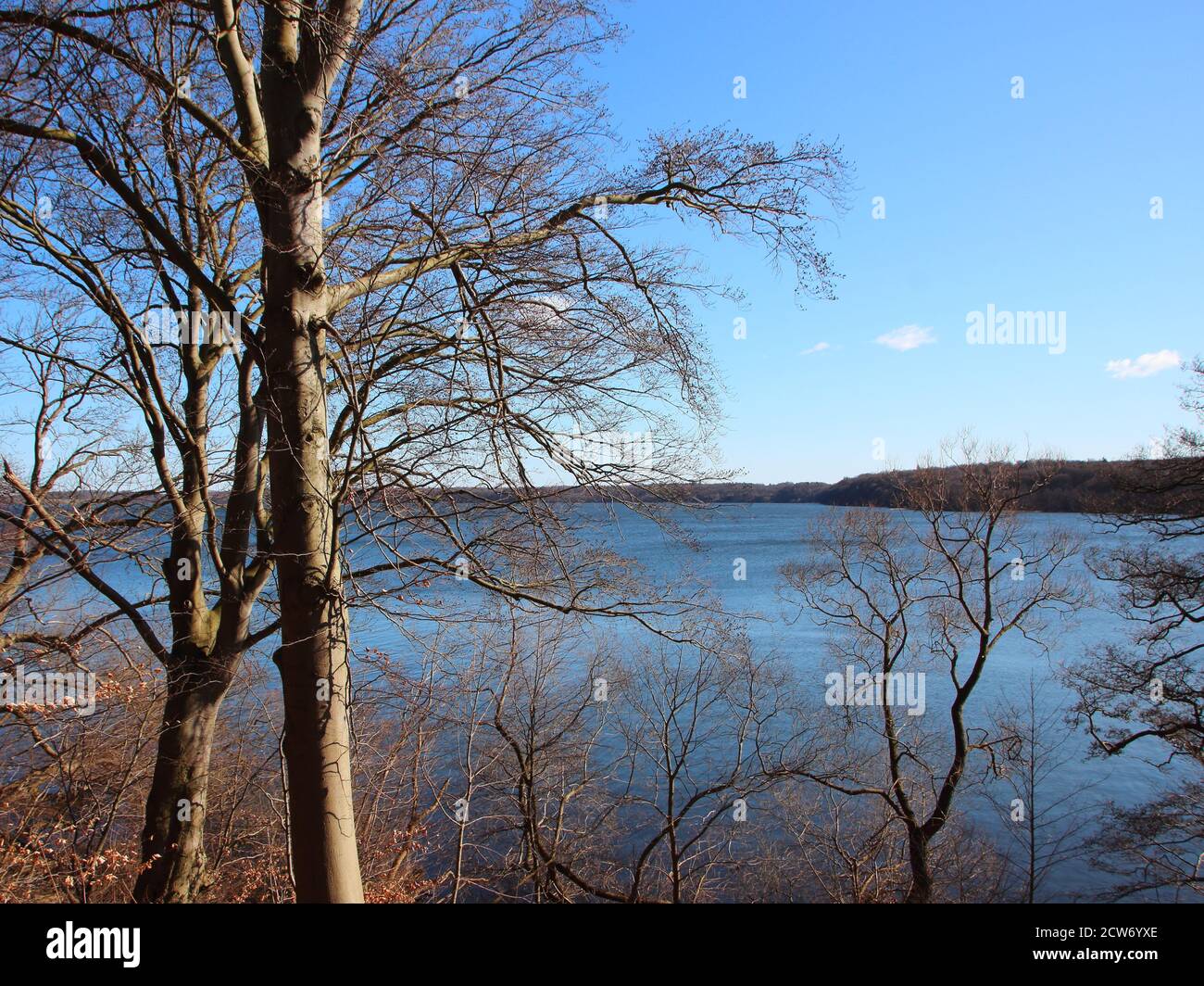 A view of a blue lake with trees in the foreground. The leaves on the trees are brown. Stock Photo