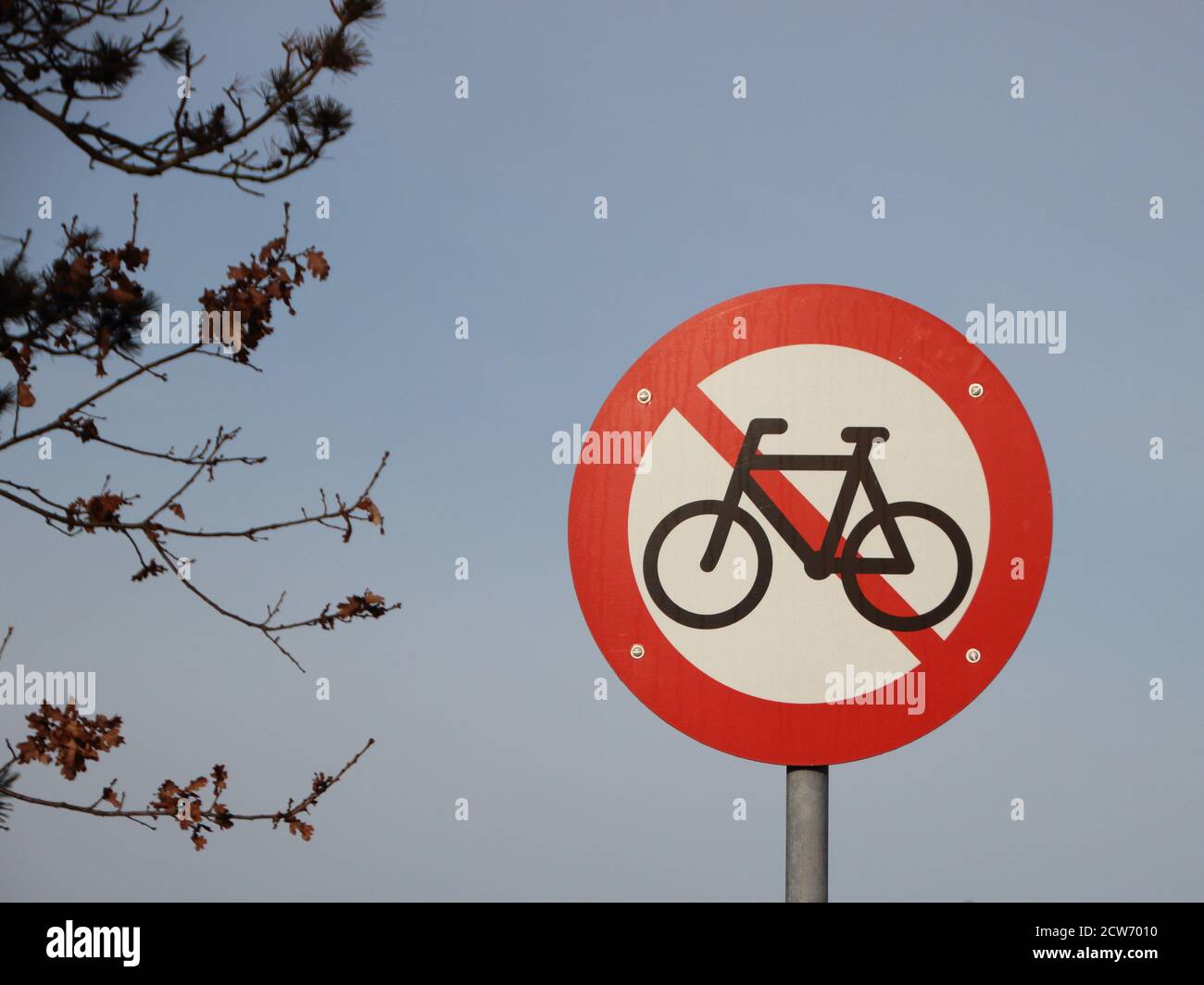 A round warning traffic road sign meaning no biking allowed. Branches from a tree can be seen to the left. Stock Photo