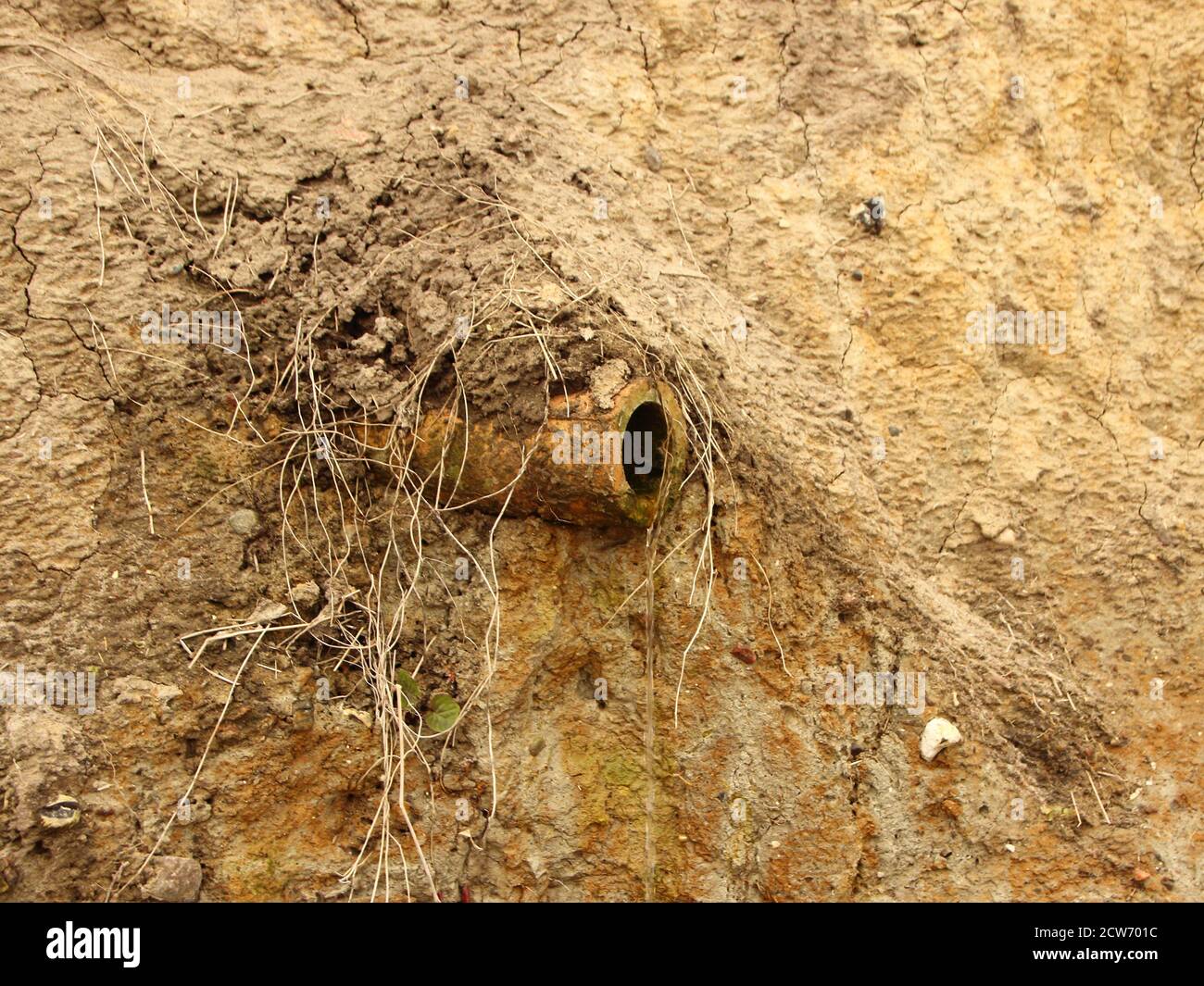 An isolated clay drain pipe. It's dirty, overgrown, and in a sand slope. Stock Photo