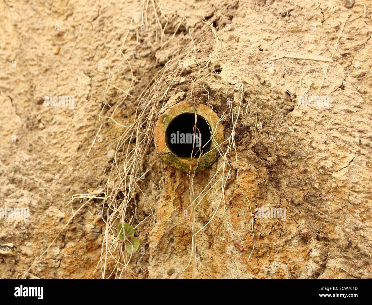 An isolated clay drain pipe. It's dirty, overgrown, and in a sand slope. Stock Photo