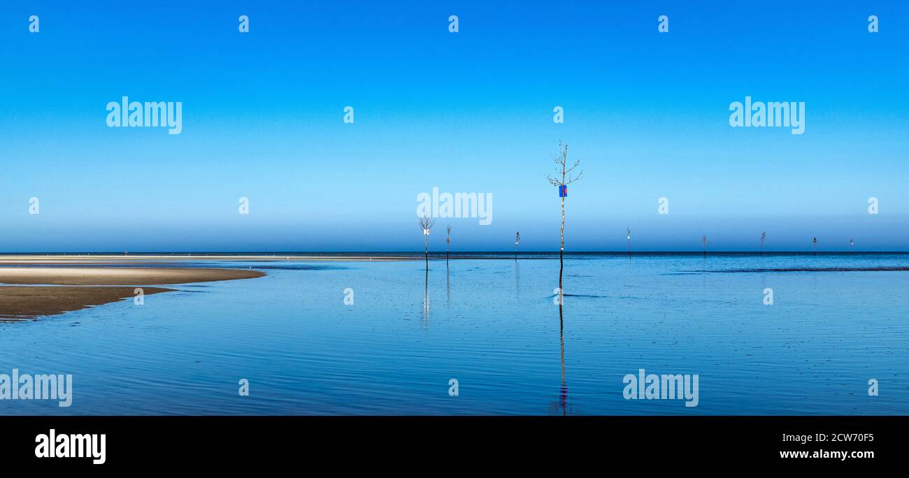 Clam tree channel markers in Rock Harbor, Cape Cod, Massachusetts, USA. Stock Photo