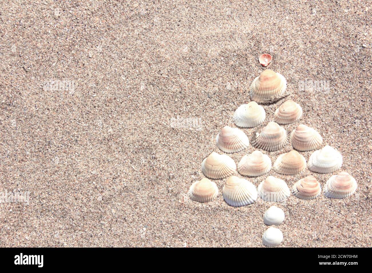 Christmas tree made of shells on dry yellow sand. Southern Hemisphere