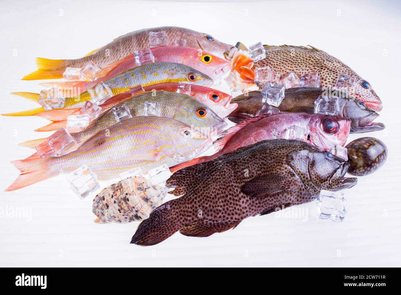 Catch seafood hires stock photography and images Alamy