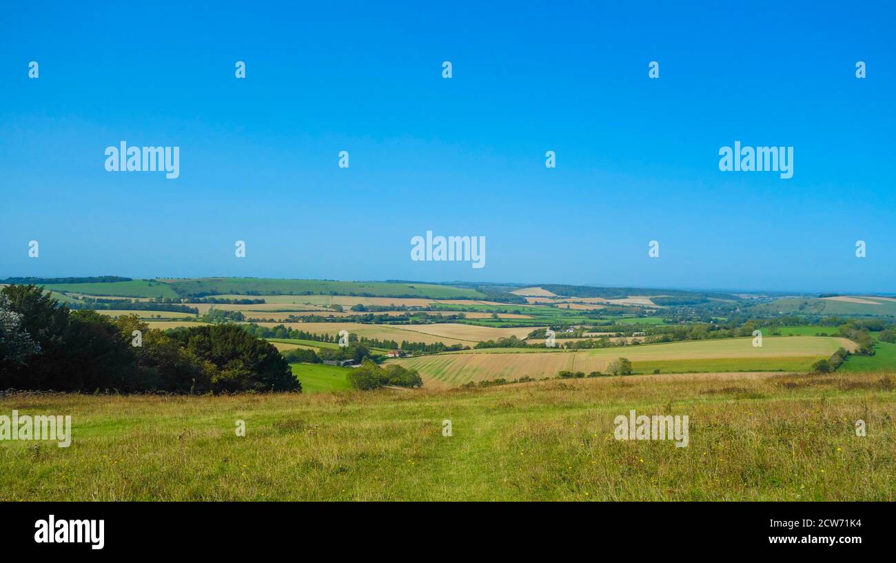 View  over Butser Hill in the South Downs National Park Hampshire.Butser Hill is a chalk hill in Hampshire, on the long ridge of the South Downs. Stock Photo