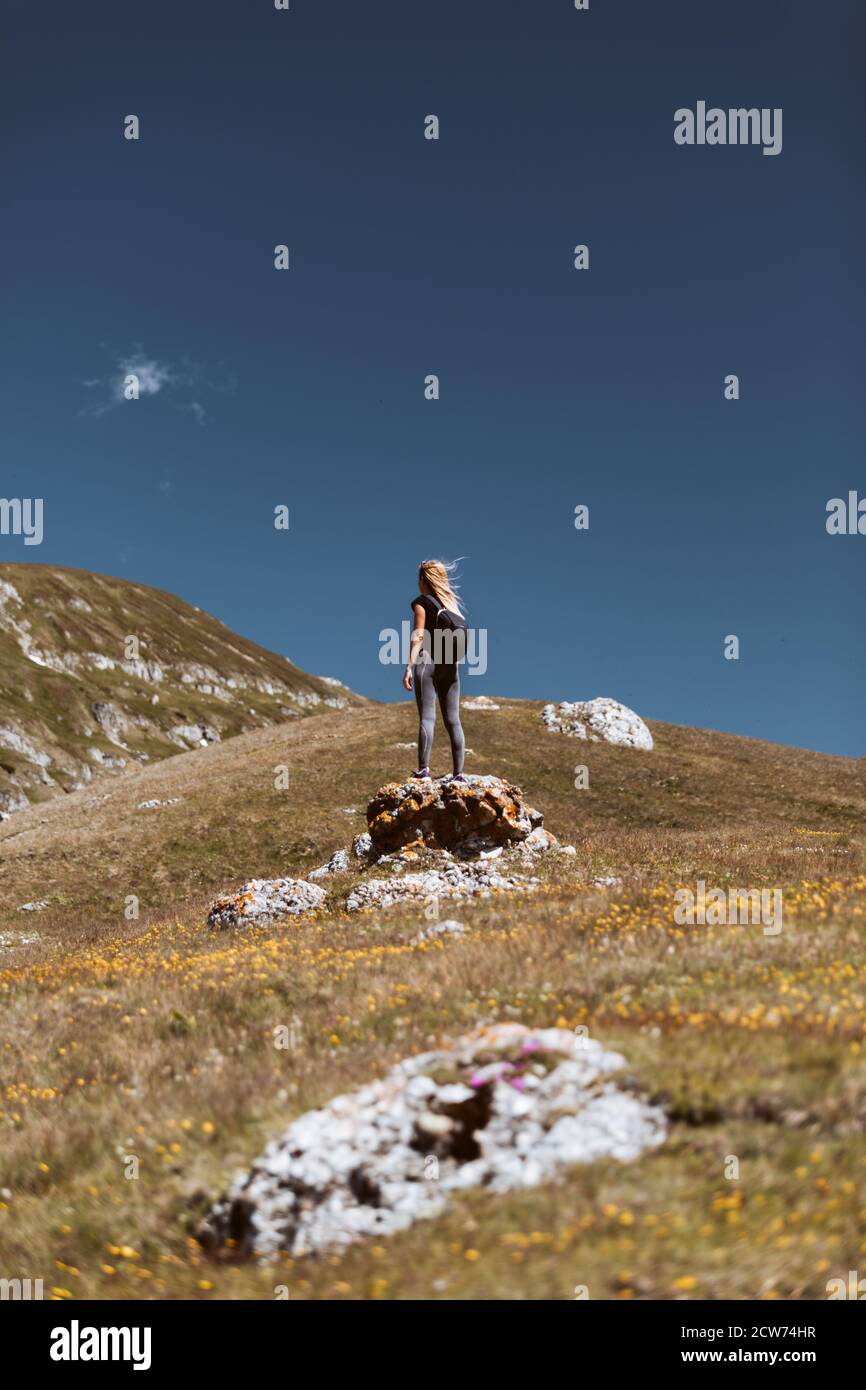 summit ridge backpack