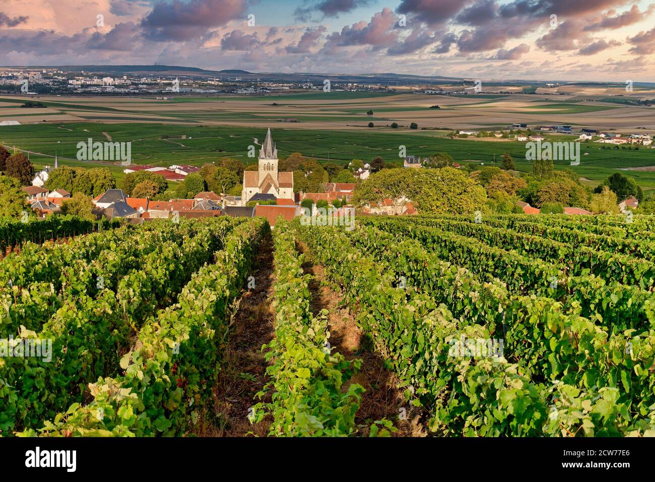 Weinanbau in der Champagne, Montagne de Reims, Ville-Dommange, Dorfkirche, Frankreich Stock Photo