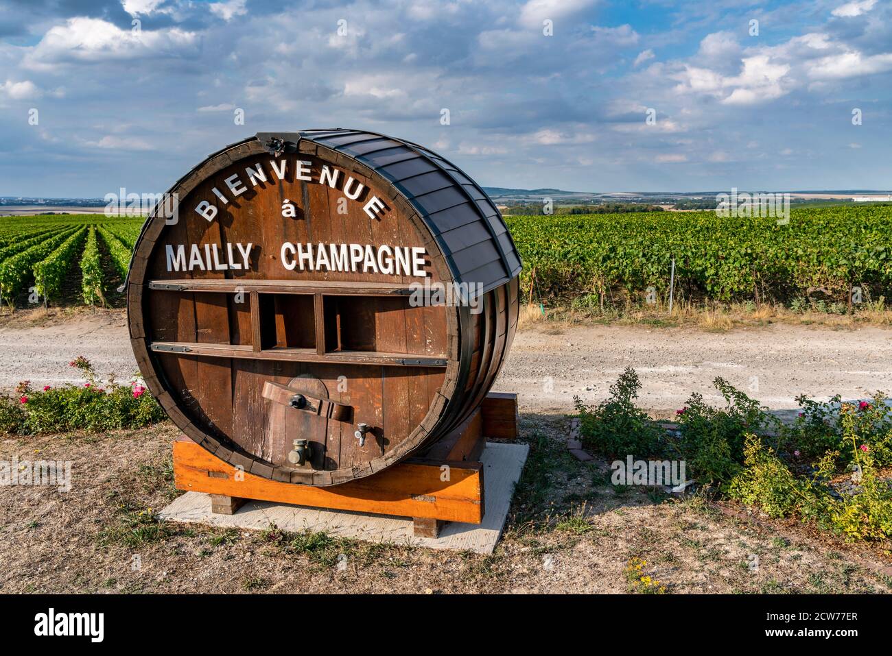 Weinanbau in der Champagne, Montagne de Reims, Route du Champagne, Mailly Champagne, Frankreich Stock Photo