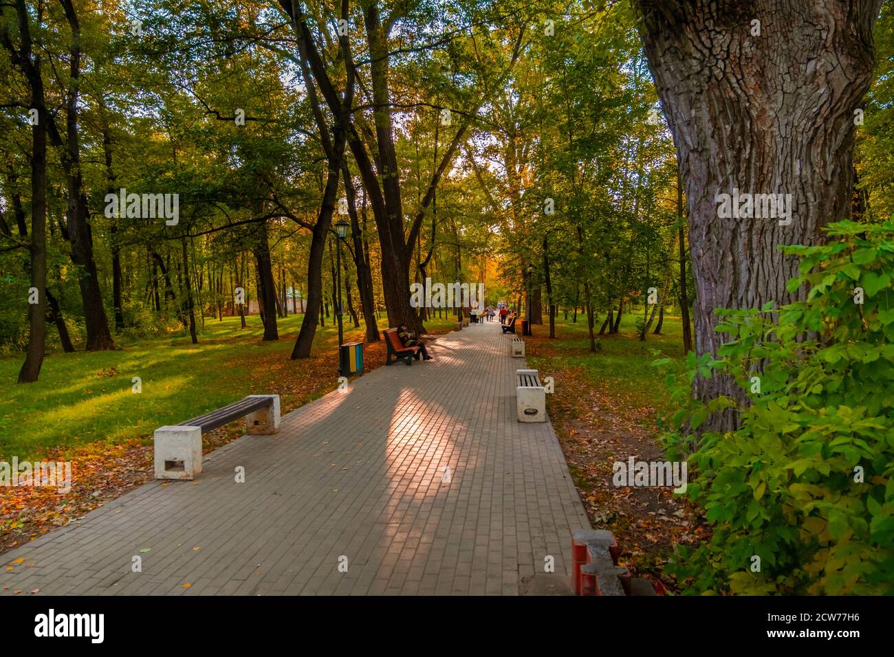 Benches in alley park hi-res stock photography and images - Alamy