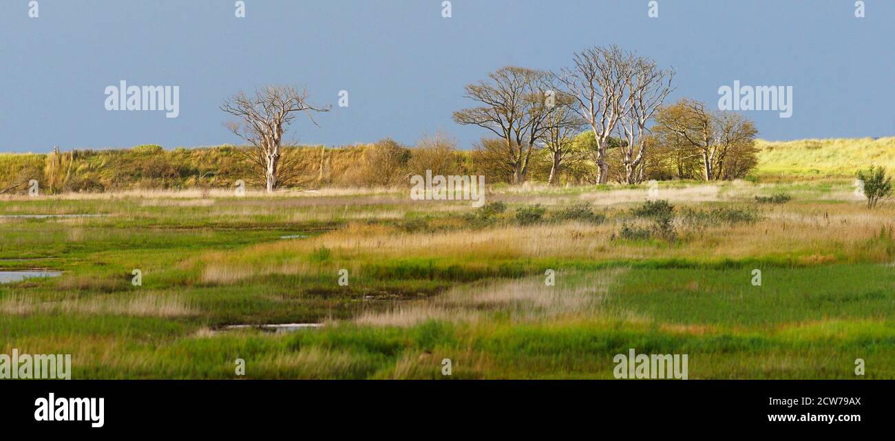 Pye's Hall bird watching spot on Lincolnshire just a mile North of