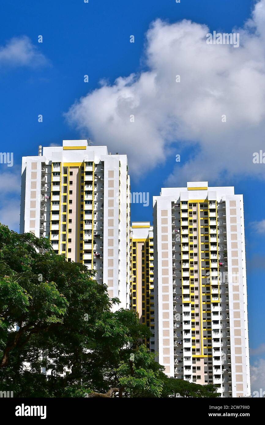 Blocks of housing development board apartments in SIngapore against a