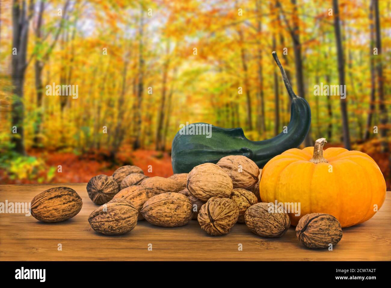 Autumnal still life with pumkin and wallnuts on woods background Stock Photo