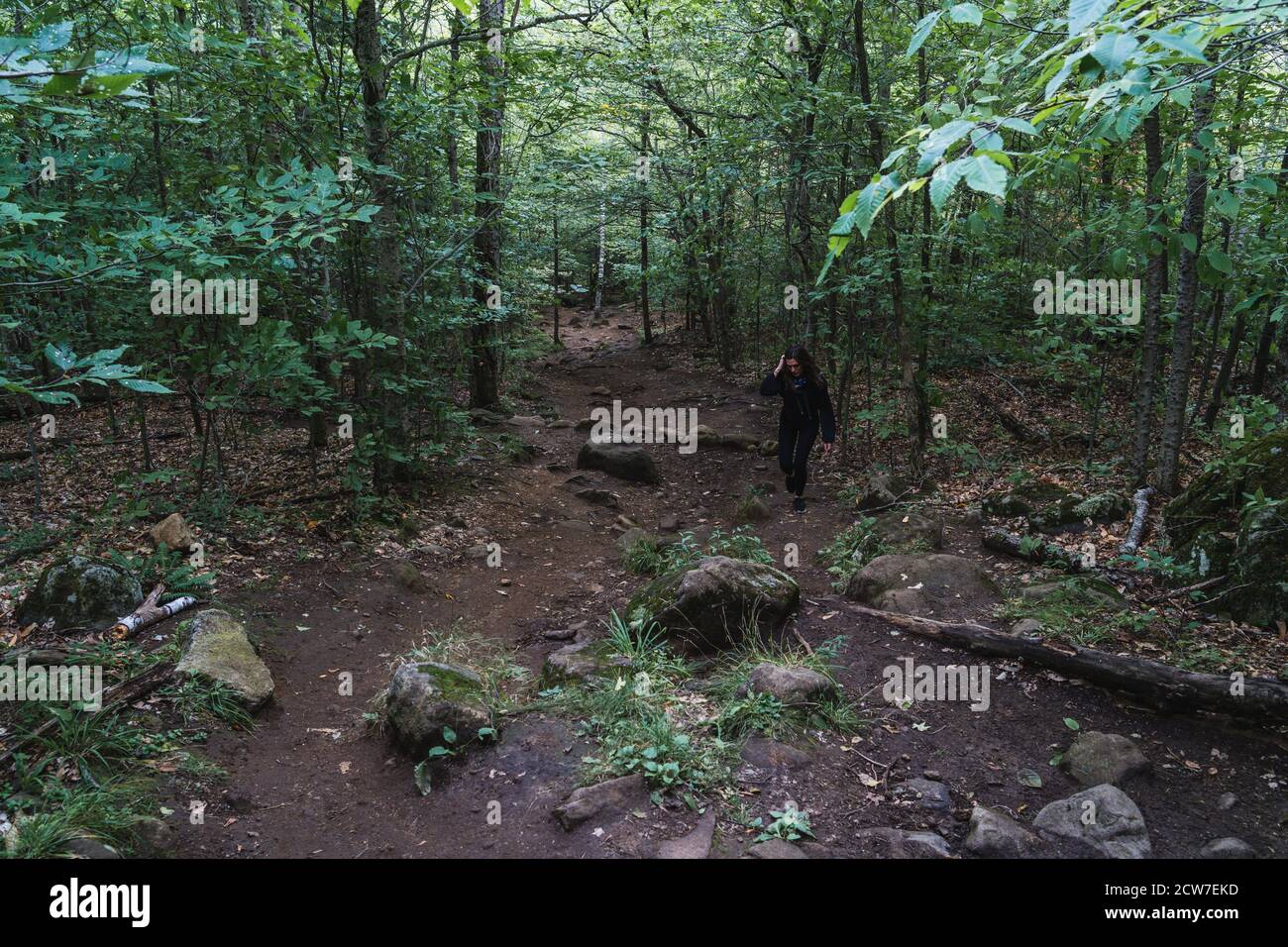 A young woman hiking on a trail in the Adirondacks Stock Photo - Alamy