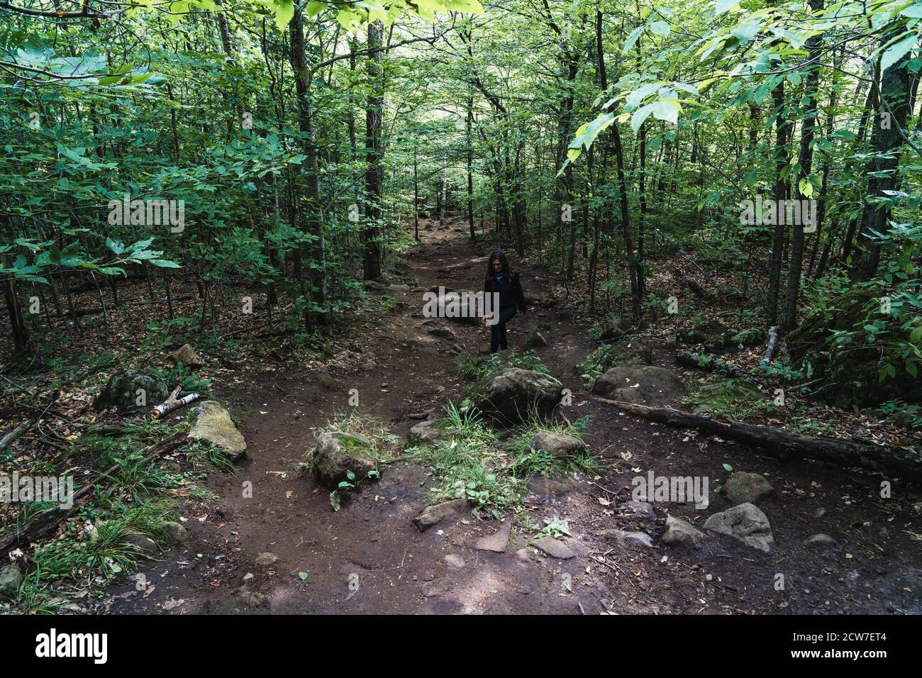 A young woman hiking on a trail in the Adirondacks Stock Photo - Alamy