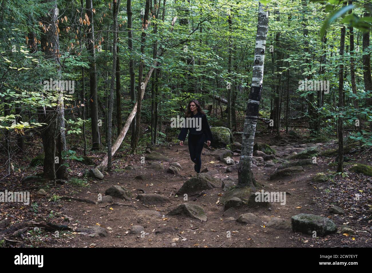 A young woman hiking on a trail in the Adirondacks Stock Photo - Alamy