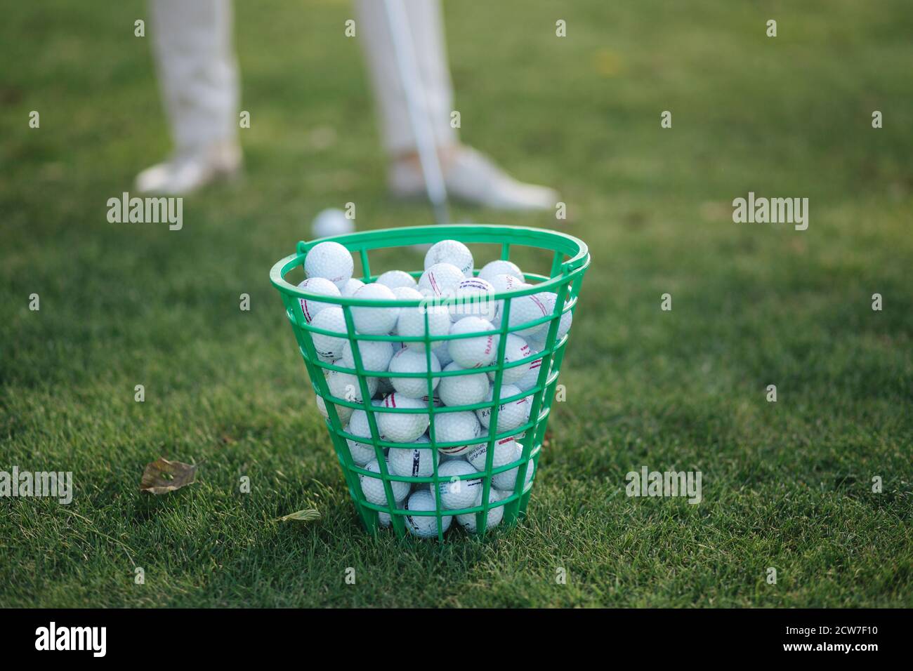 Full golf ball bucket on golf field Stock Photo Alamy
