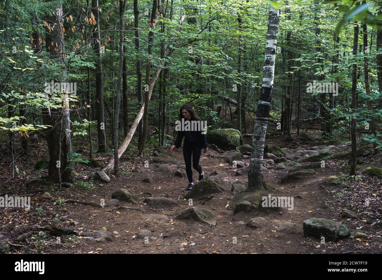 A young woman hiking on a trail in the Adirondacks Stock Photo - Alamy