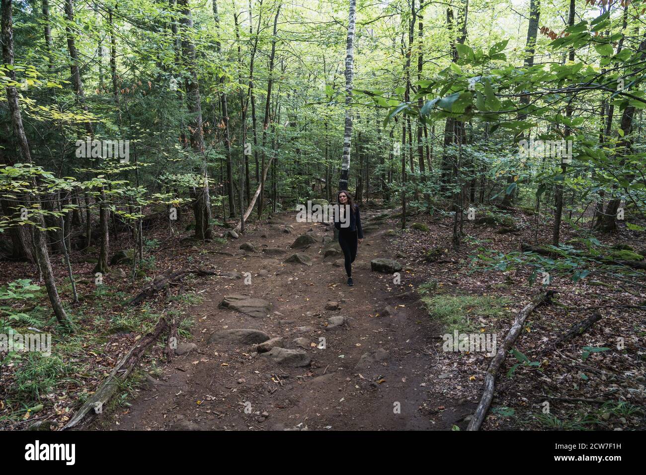 A young woman hiking on a trail in the Adirondacks Stock Photo - Alamy