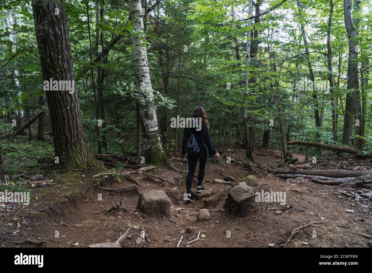 A young woman hiking on a trail in the Adirondacks Stock Photo - Alamy