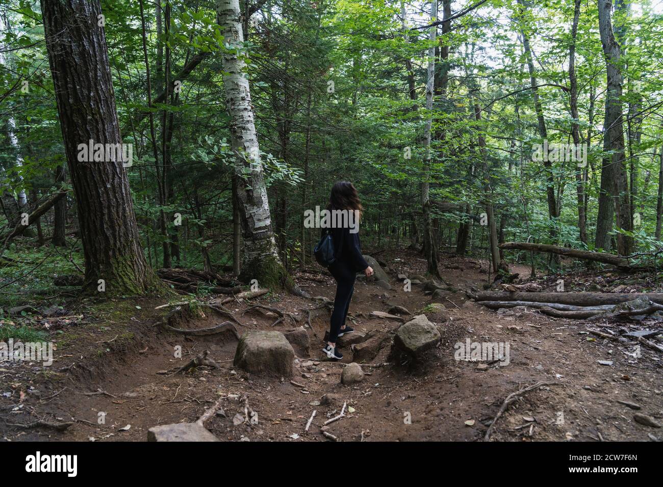 A young woman hiking on a trail in the Adirondacks Stock Photo - Alamy